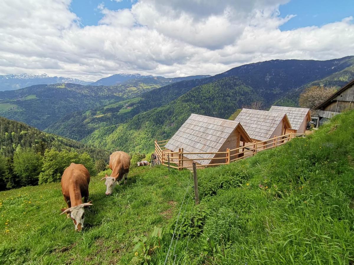 Farmstay&Glamping Visocnik Ljubno المظهر الخارجي الصورة
