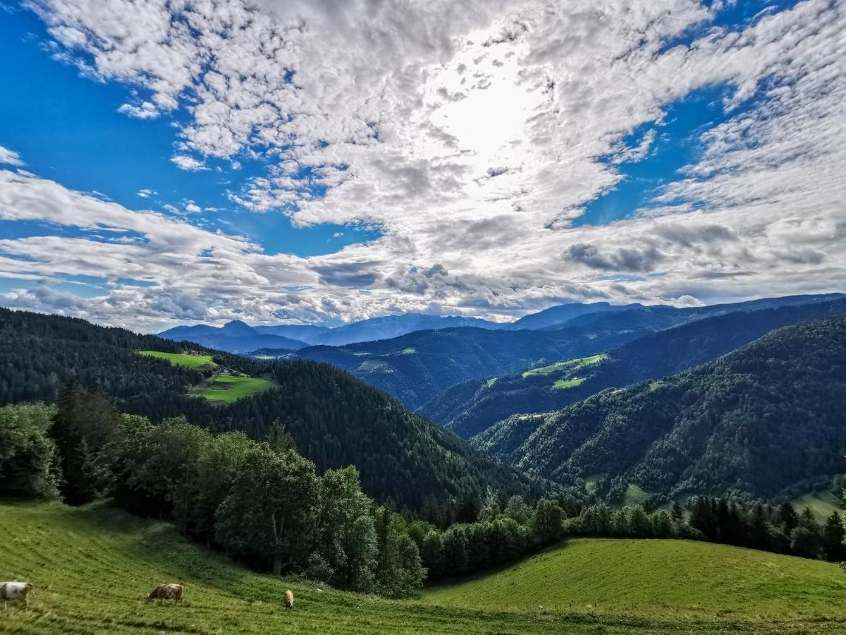 Farmstay&Glamping Visocnik Ljubno المظهر الخارجي الصورة