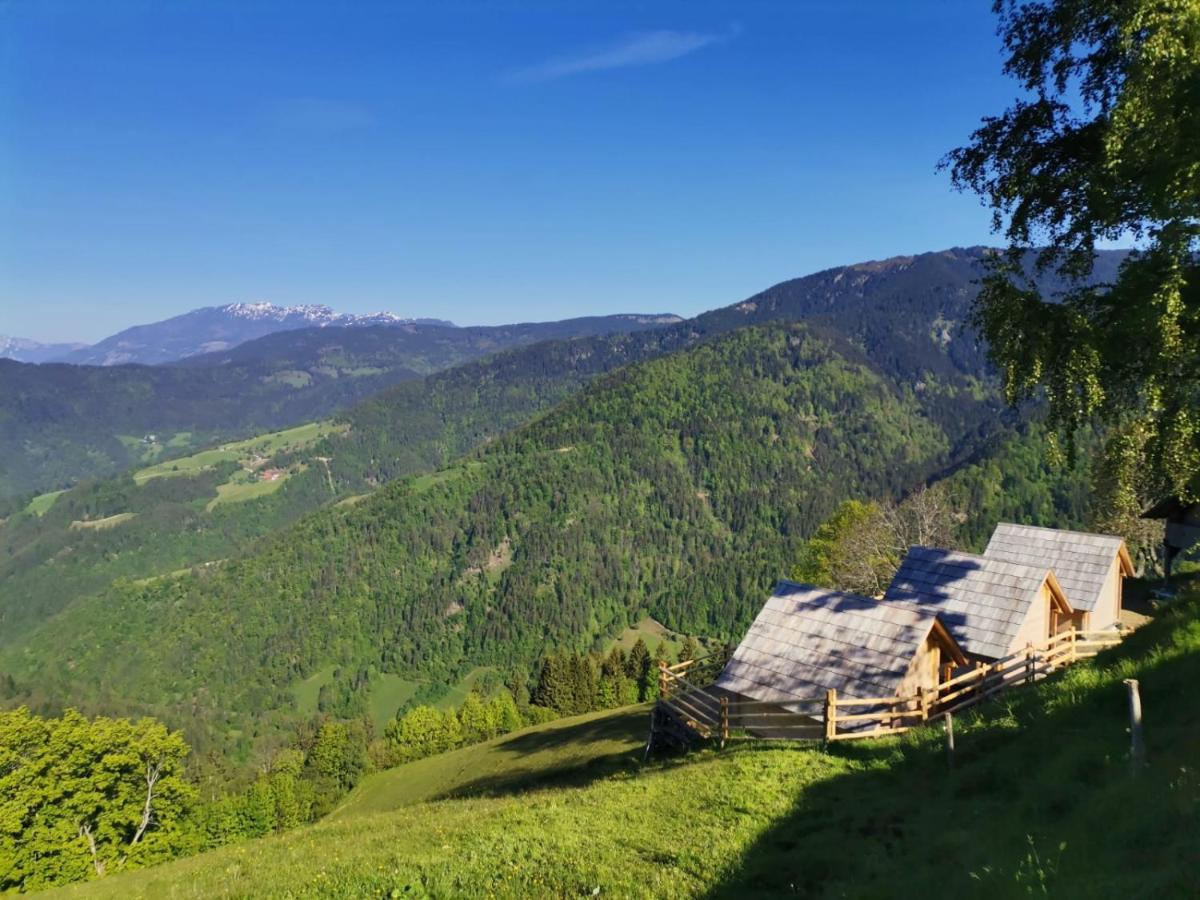 Farmstay&Glamping Visocnik Ljubno المظهر الخارجي الصورة