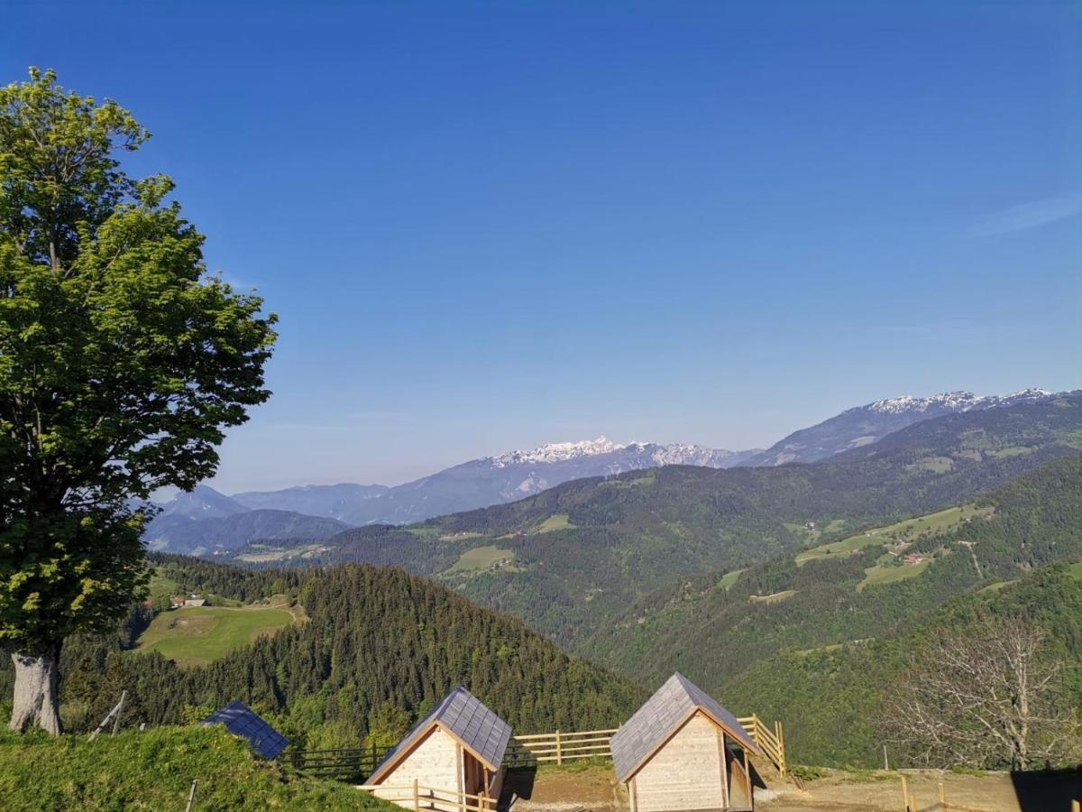 Farmstay&Glamping Visocnik Ljubno المظهر الخارجي الصورة