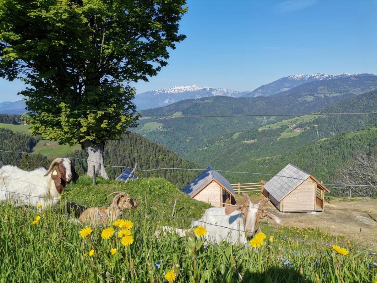 Farmstay&Glamping Visocnik Ljubno المظهر الخارجي الصورة