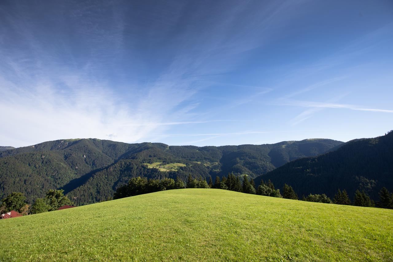 Farmstay&Glamping Visocnik Ljubno المظهر الخارجي الصورة