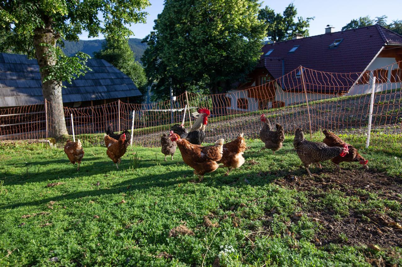 Farmstay&Glamping Visocnik Ljubno المظهر الخارجي الصورة