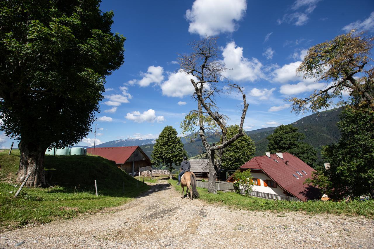 Farmstay&Glamping Visocnik Ljubno المظهر الخارجي الصورة