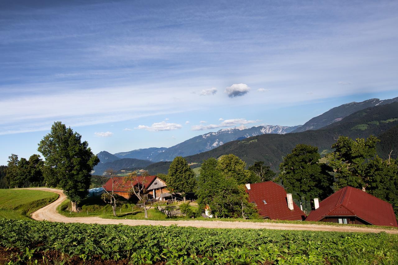 Farmstay&Glamping Visocnik Ljubno المظهر الخارجي الصورة
