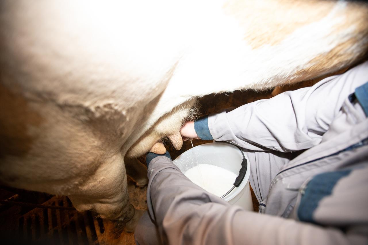 Farmstay&Glamping Visocnik Ljubno المظهر الخارجي الصورة
