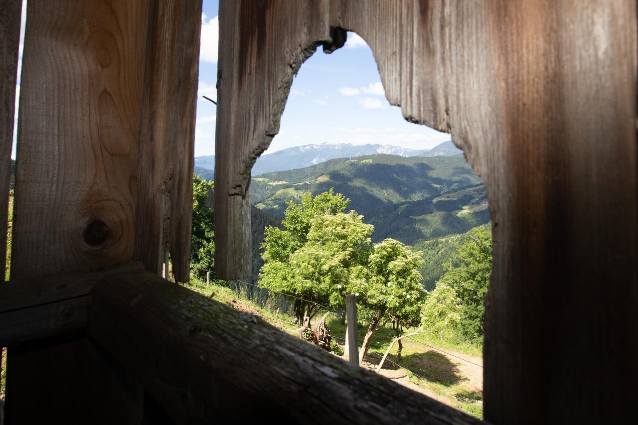 Farmstay&Glamping Visocnik Ljubno المظهر الخارجي الصورة