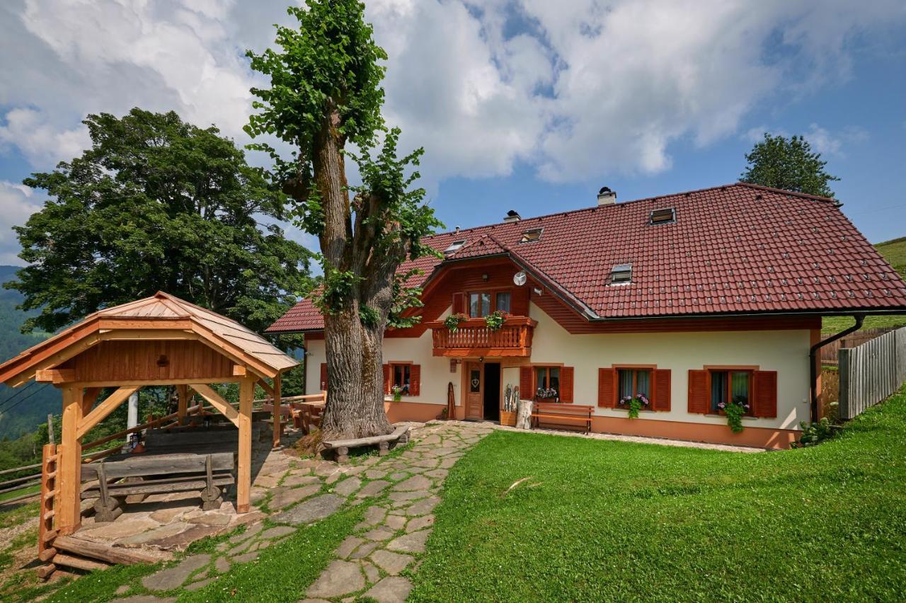 Farmstay&Glamping Visocnik Ljubno المظهر الخارجي الصورة
