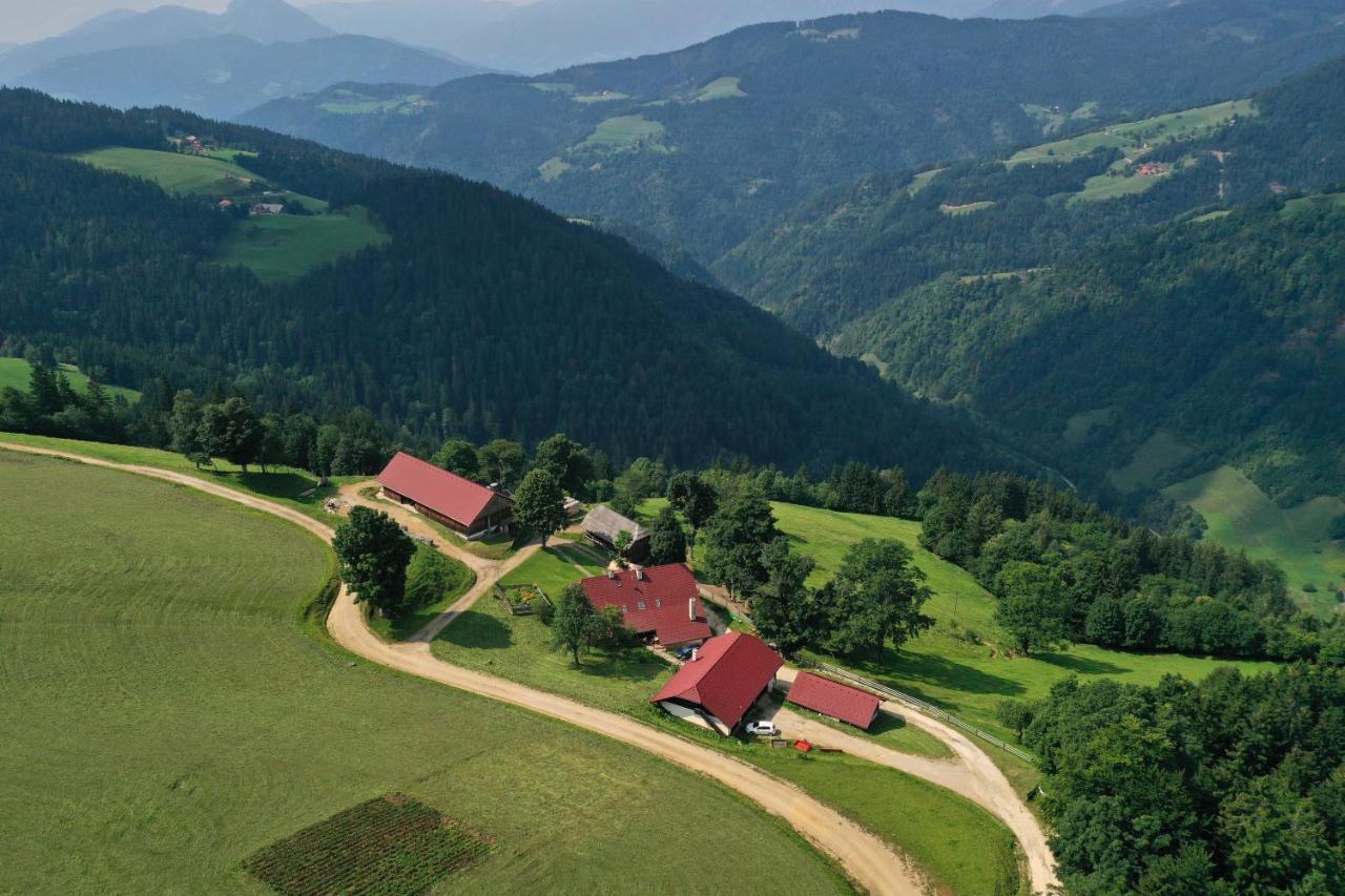 Farmstay&Glamping Visocnik Ljubno المظهر الخارجي الصورة