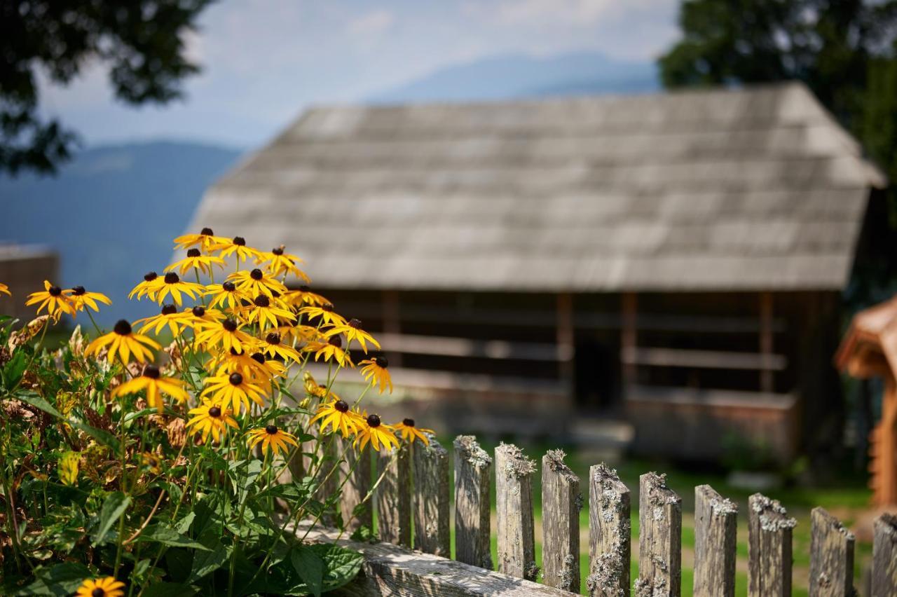 Farmstay&Glamping Visocnik Ljubno المظهر الخارجي الصورة