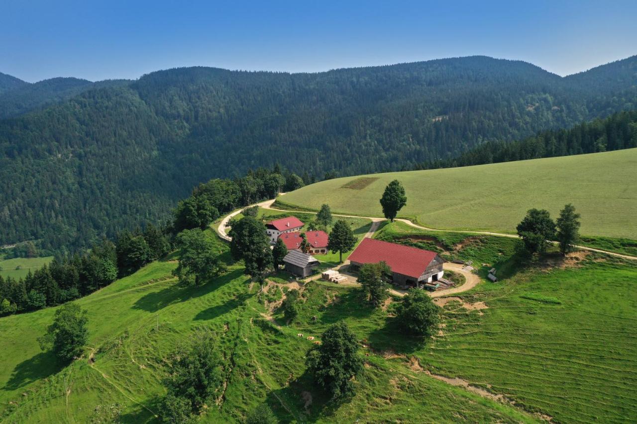Farmstay&Glamping Visocnik Ljubno المظهر الخارجي الصورة