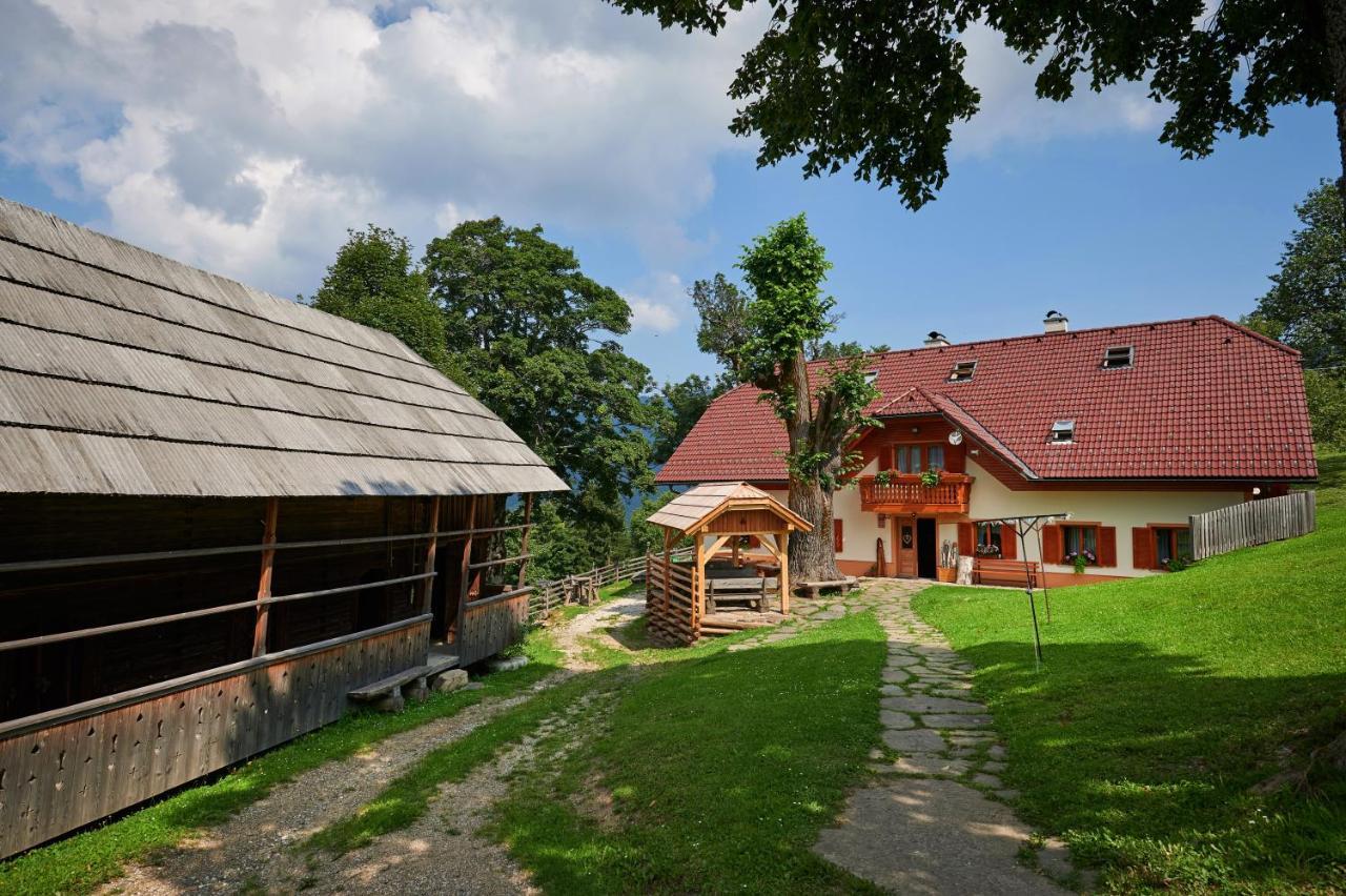 Farmstay&Glamping Visocnik Ljubno المظهر الخارجي الصورة