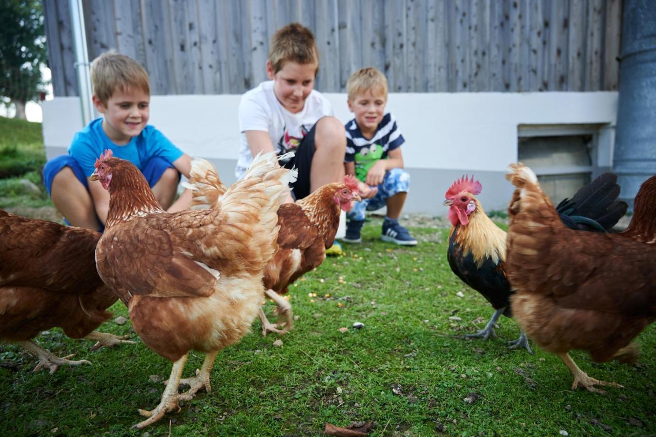 Farmstay&Glamping Visocnik Ljubno المظهر الخارجي الصورة