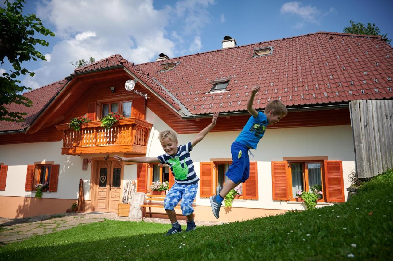 Farmstay&Glamping Visocnik Ljubno المظهر الخارجي الصورة