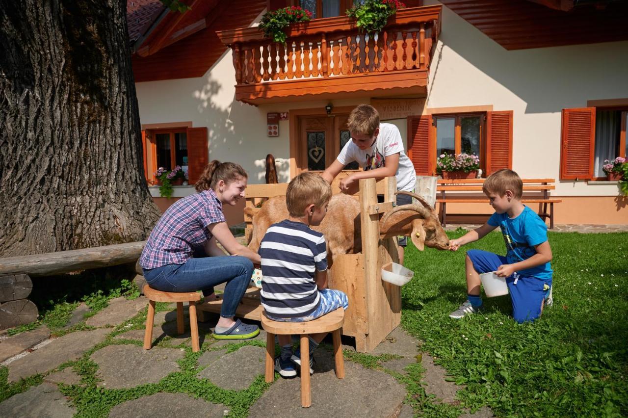 Farmstay&Glamping Visocnik Ljubno المظهر الخارجي الصورة