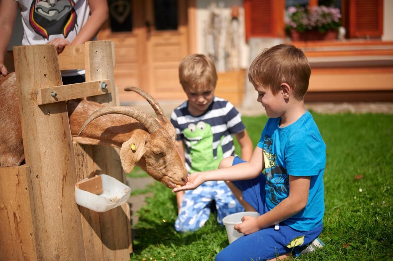 Farmstay&Glamping Visocnik Ljubno المظهر الخارجي الصورة